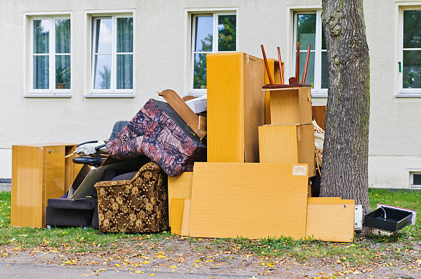Yard Cleanup Services in Zeigler, IL